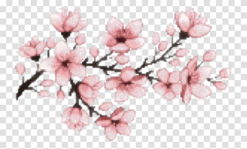 Download Hd Sakura Flower Hanami Pink Cherry Blossom Gif, Plant, Rug Transparent Png