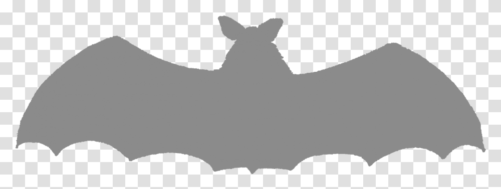 Download Hd Scary Halloween Bat Silhouette Images Clip Art Equus, Mammal, Animal, Horse, Stencil Transparent Png