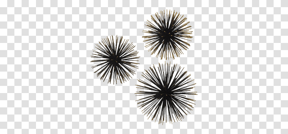 Download Hd Sea Urchin Wall Dcor Gold Project 62 Sea Urchin Wall Dcor Gold Project 62, Outdoors, Nature, Night, Fireworks Transparent Png