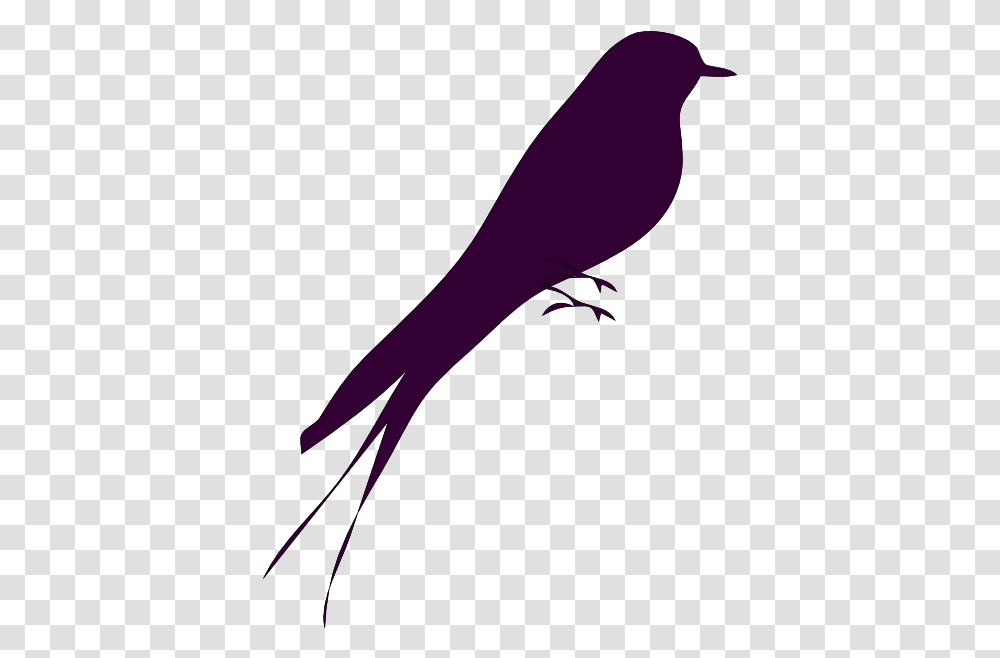 Download Hd Small Love Bird Silhouette Purple Birds, Vulture, Animal, Gecko, Alcohol Transparent Png