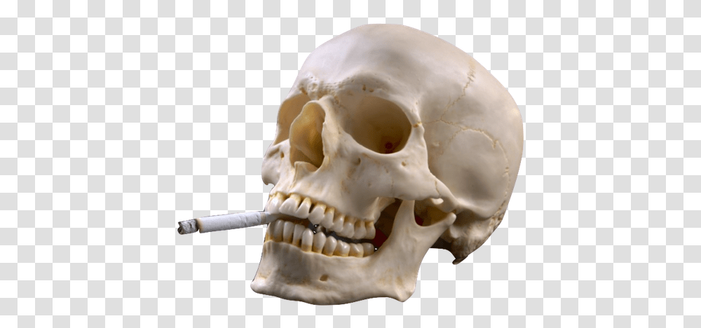 Download Hd Smoking Skull Grunge Tobacco The Silent Killer, Jaw, Skeleton, Teeth, Mouth Transparent Png