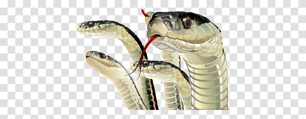 Download Hd Snakes Snake Tounge Uhaul, Cobra, Reptile, Animal, Helmet Transparent Png