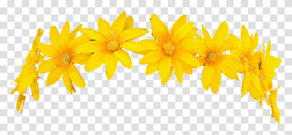 Download Hd Snapchat Filter Flowercrown Character Render Yellow Flower Crown, Plant, Petal, Anther, Daisy Transparent Png