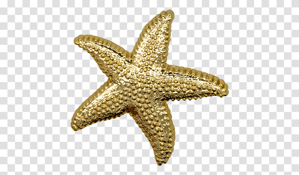 Download Hd Starfish Pin Gold Shine Starfish Starfish, Sea Life, Animal, Invertebrate, Lizard Transparent Png