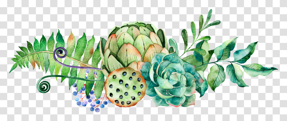 Download Hd Succulents Lotus Watercolor Watercolor Succulent Clip Art, Plant, Produce, Food, Artichoke Transparent Png