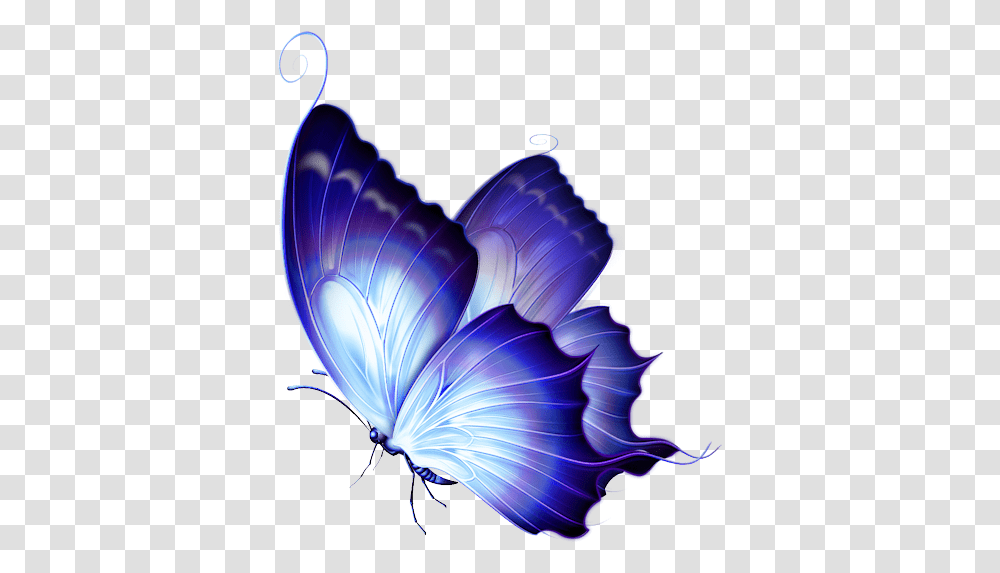 Download Hd Svetlera Purple And Gold Blue Purple Butterflies, Ornament, Graphics, Art, Pattern Transparent Png