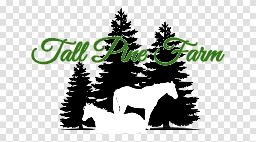 Download Hd Tall Pine Farm Black And White Trees Pine Tree Silhouette, Text, Horse, Mammal, Animal Transparent Png