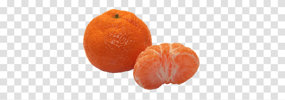 Download Hd Tangerines Satsuma Fruit Image Satsumas Fruit, Citrus Fruit, Plant, Food, Grapefruit Transparent Png