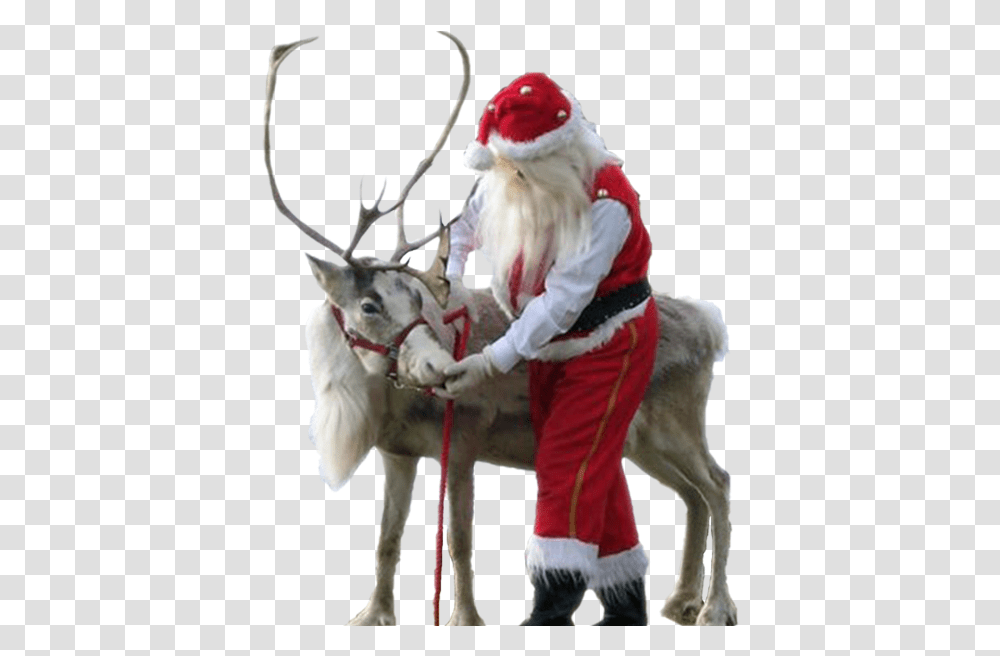 Download Hd The Best Christmas Santa Claus, Antler, Person, Human, Elk Transparent Png