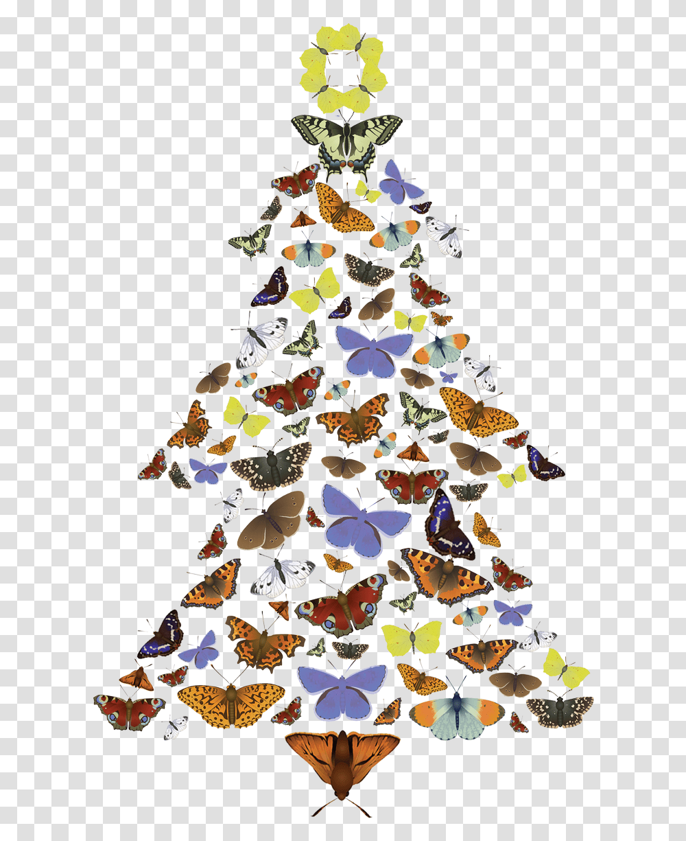 Download Hd The Pine Carpet Moth Loves Scots Trees Christmas Tree, Plant, Ornament, Art, Graphics Transparent Png