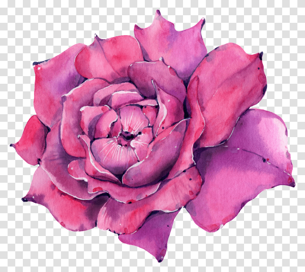 Download Hd This Graphics Is A Rose About Lovely, Petal, Flower, Plant, Blossom Transparent Png