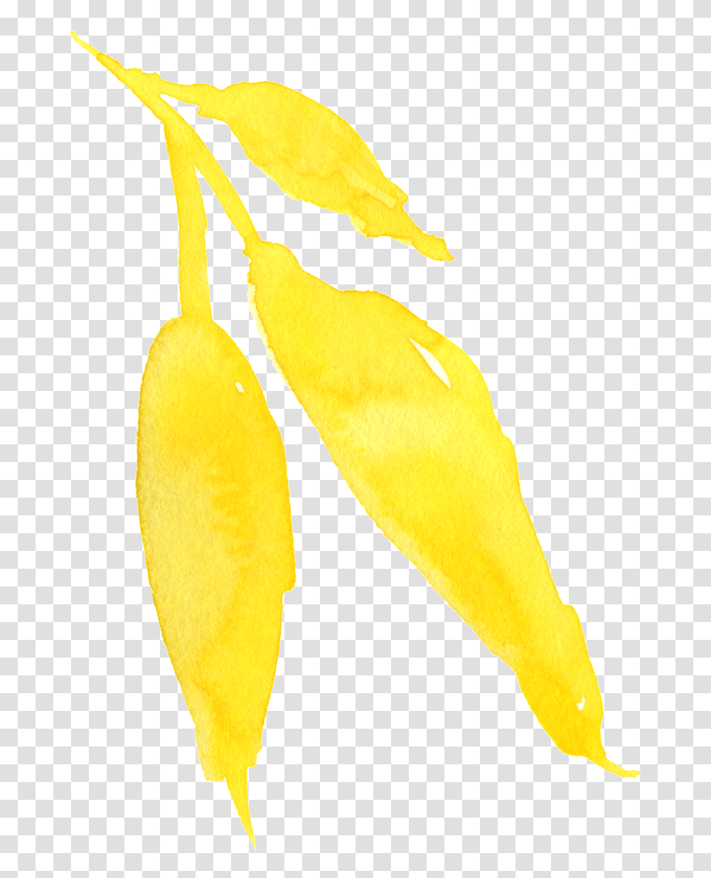 Download Hd This Graphics Is Watercolor Yellow Flower Hop Hornbeam, Plant, Bird, Animal, Fruit Transparent Png
