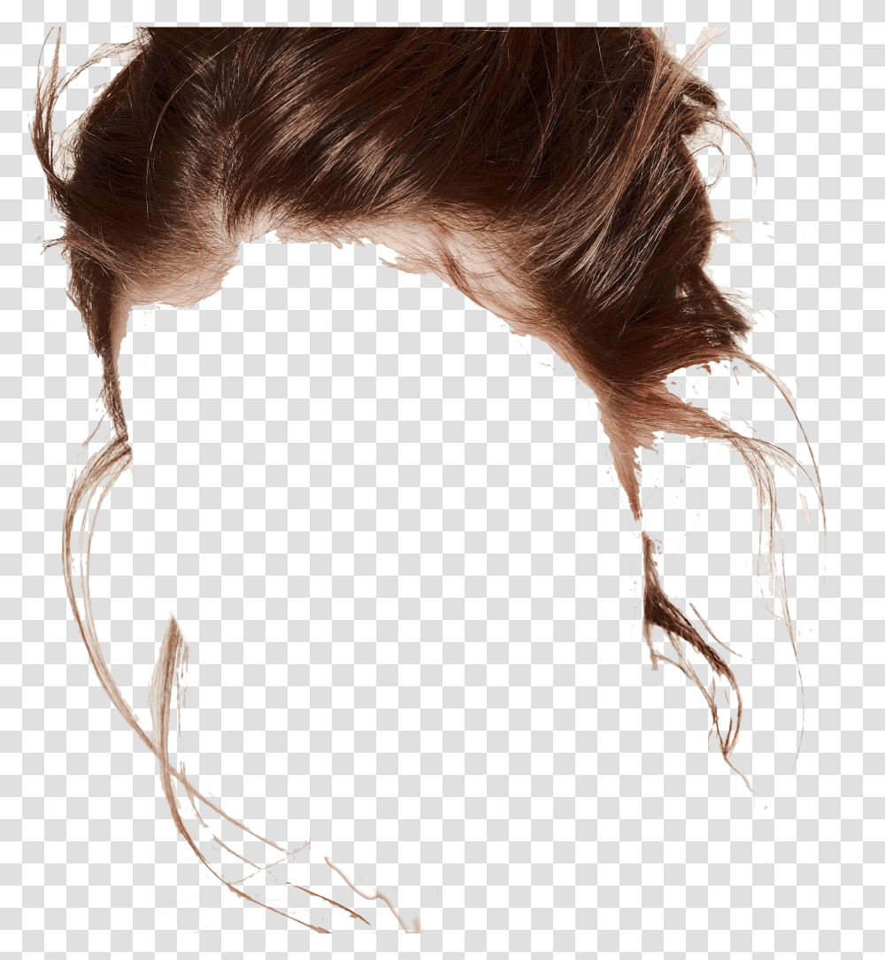 Download Hd This Image Has Been Resized To Fit In The, Person, Human, Animal, Hair Transparent Png