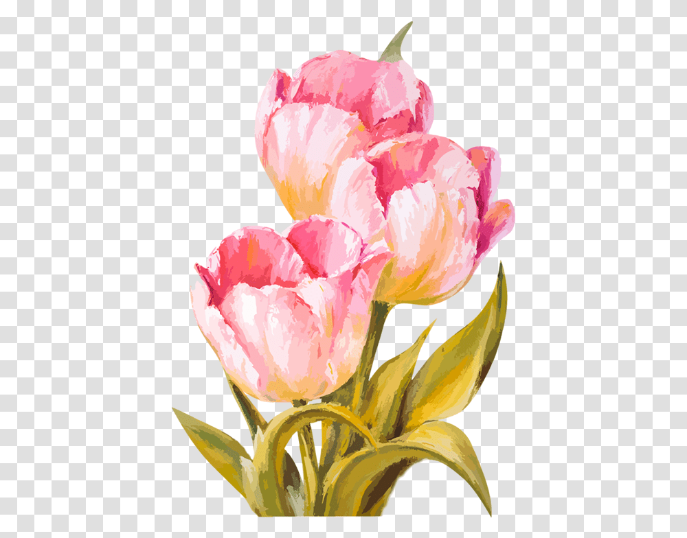Download Hd Tubes Fleurs Flowers Watercolor Tulips Flower Watercolor, Plant, Blossom, Rose, Petal Transparent Png