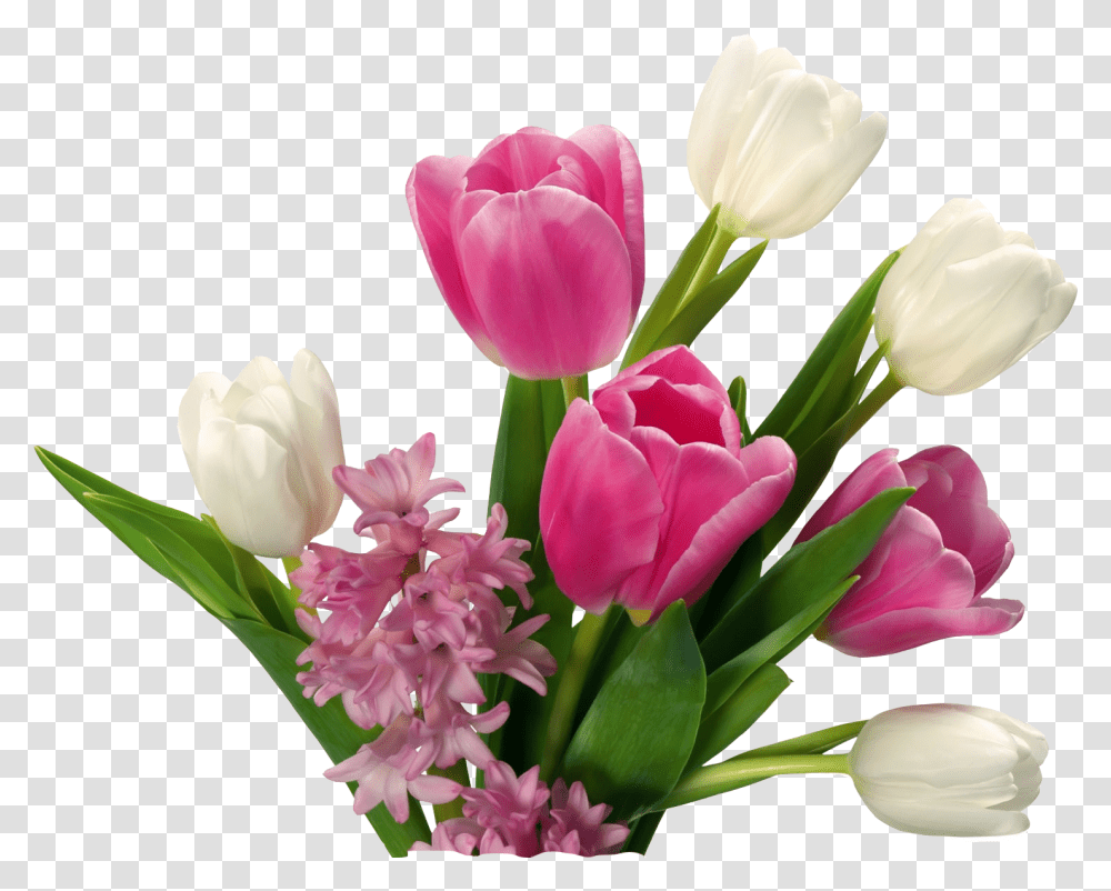 Download Hd Tulip Flower Images Free Gallery Tulips Flower Background, Plant, Blossom, Flower Bouquet, Flower Arrangement Transparent Png