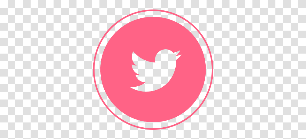 Download Hd Twitter Icon Flat Twitter Logo Blue, Cat, Pet, Mammal, Animal Transparent Png