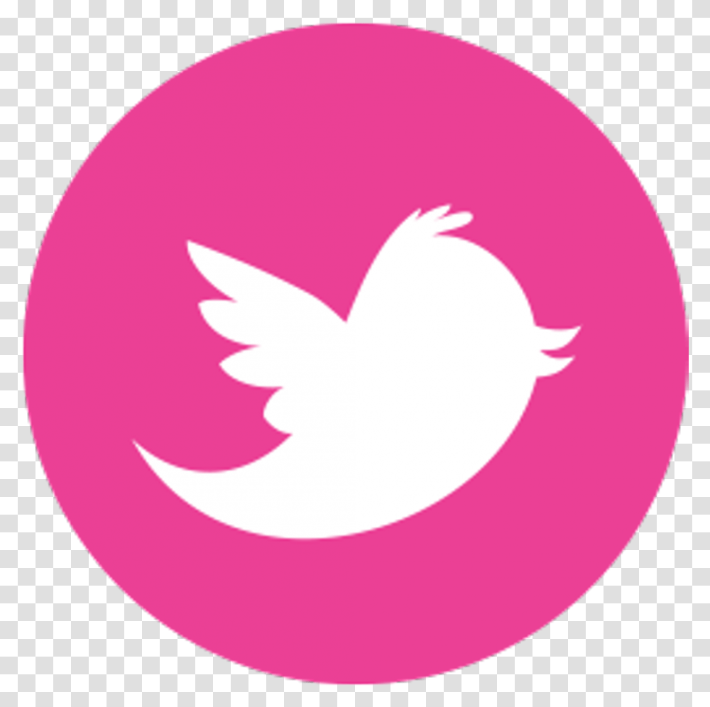 Download Hd Twitter Logo Pink Pink Twitter Logo, Symbol, Trademark, Animal, Heart Transparent Png