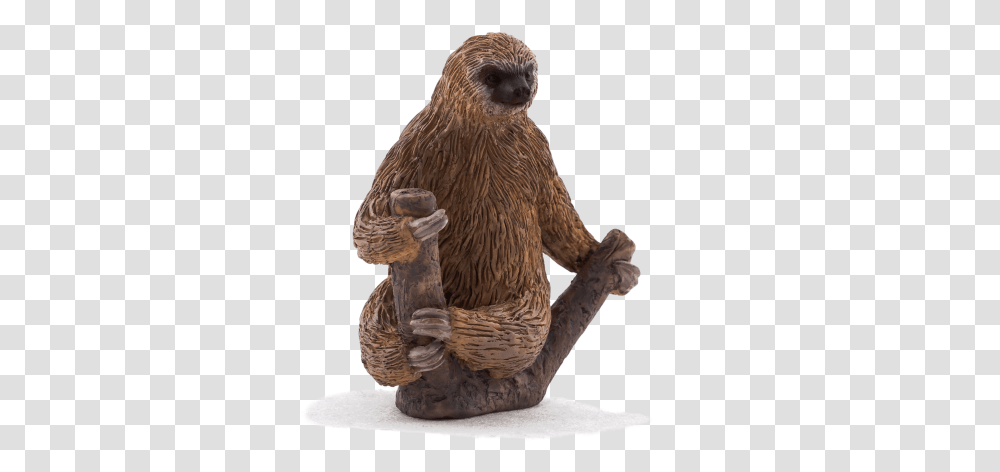Download Hd Two Toed Sloth Animal Planet Two Toed Sloth Collecta Sloth, Wildlife, Mammal, Figurine, Bird Transparent Png