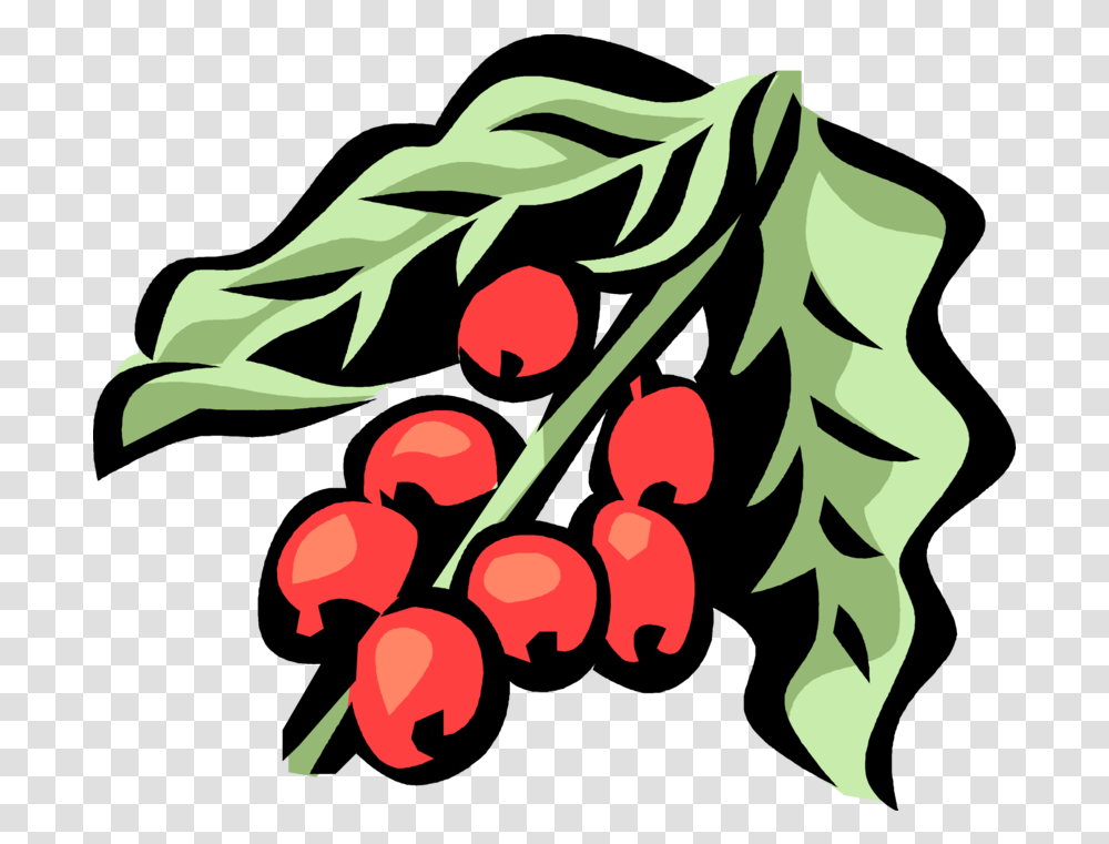 Download Hd Vector Illustration Of Coffee Bean Seed The Coffee Tree Vector, Floral Design, Pattern, Graphics, Art Transparent Png