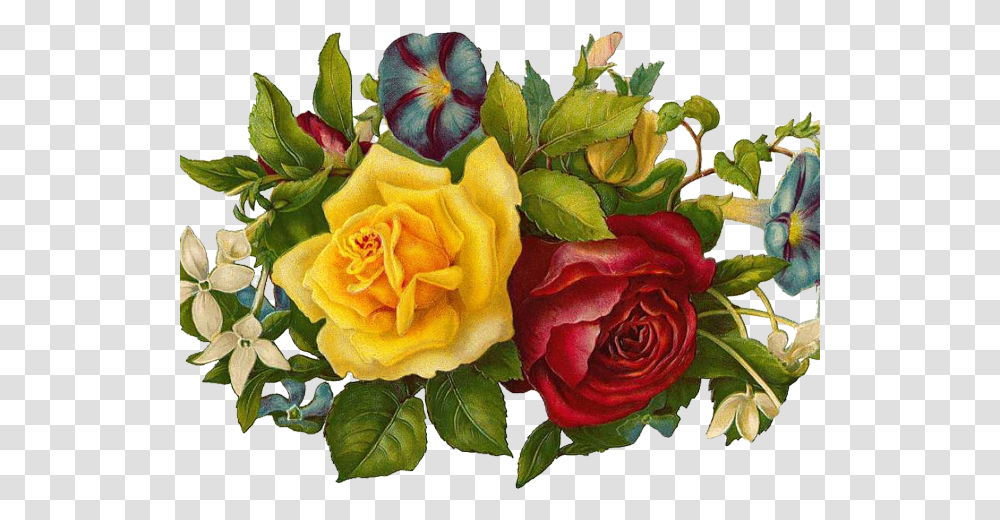 Download Hd Vintage Flower Clipart Printable Background Vintage Flowers, Plant, Rose, Blossom, Graphics Transparent Png