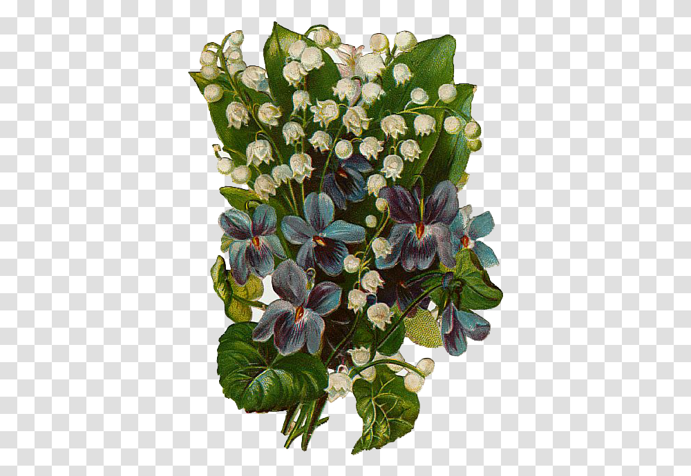 Download Hd Vintage Violets And Lilys Clip Art, Geranium, Flower, Plant, Blossom Transparent Png