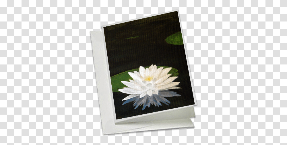 Download Hd Water Lily Water Lilies Water Lilies, Rug, Plant, Canvas, Flower Transparent Png