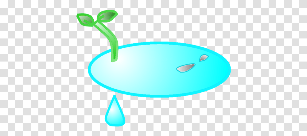 Download Hd Water Puddle Weird Version Circle, Plant, Lamp, Sprout, Animal Transparent Png