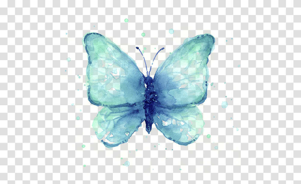 Download Hd Watercolor Butterfly Butterfly Watercolour, Animal, Insect, Invertebrate, Bird Transparent Png