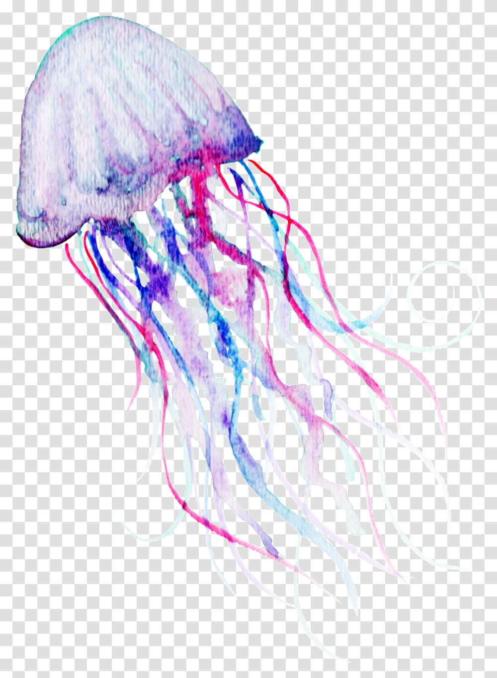 Download Hd Watercolor Deep Sea Jelly, Jellyfish, Invertebrate, Sea Life, Animal Transparent Png