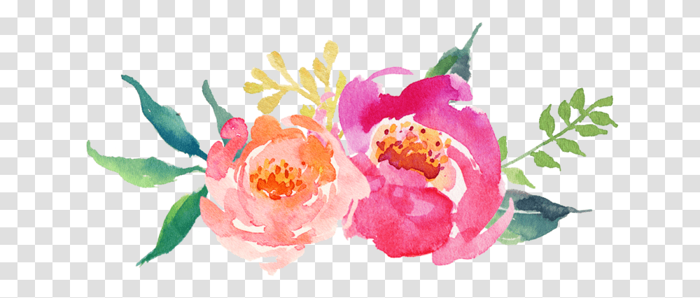 Download Hd Watercolor Peonies Background Flower Peonies, Plant, Petal, Pollen, Rose Transparent Png