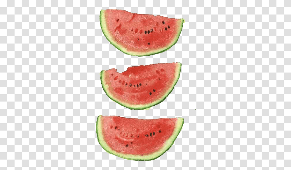 Download Hd Watercolor Watermelon, Plant, Fruit, Food Transparent Png