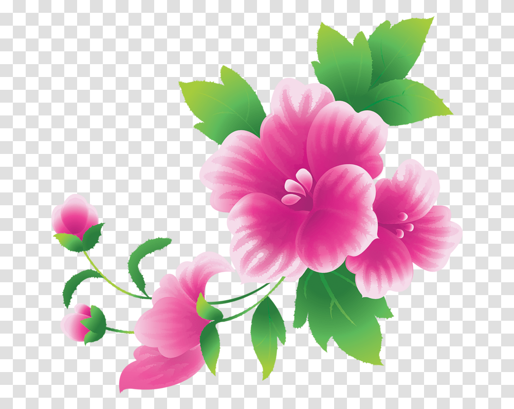 Download Hd Watercolour Flower Clip Art Flower Clip Arts, Hibiscus, Plant, Blossom Transparent Png