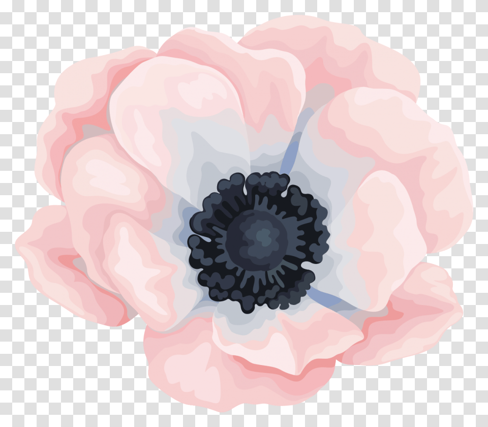 Download Hd Watercolour Flowers Canvas Painting Of Flowers Water Color, Plant, Anemone, Blossom, Petal Transparent Png