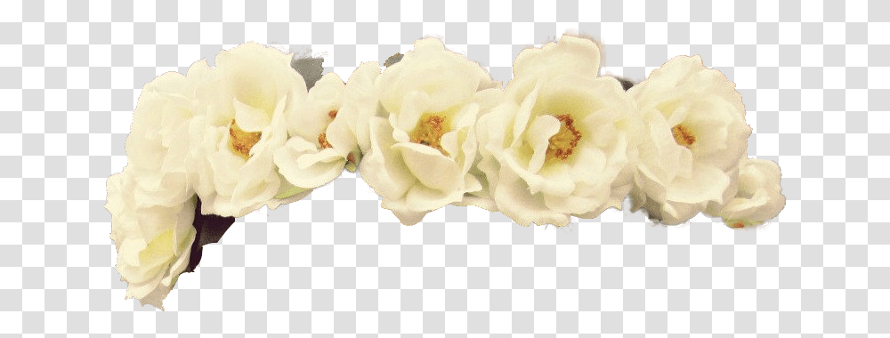 Download Hd White Flower Crown Flowers Healthy Yellow Artificial Flower, Plant, Petal, Blossom, Rose Transparent Png