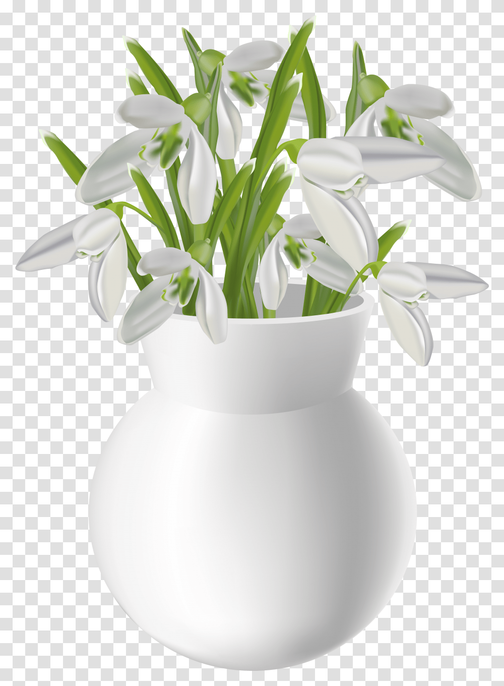 Download Hd White Flower Vase Flower Vase On Table Transparent Png
