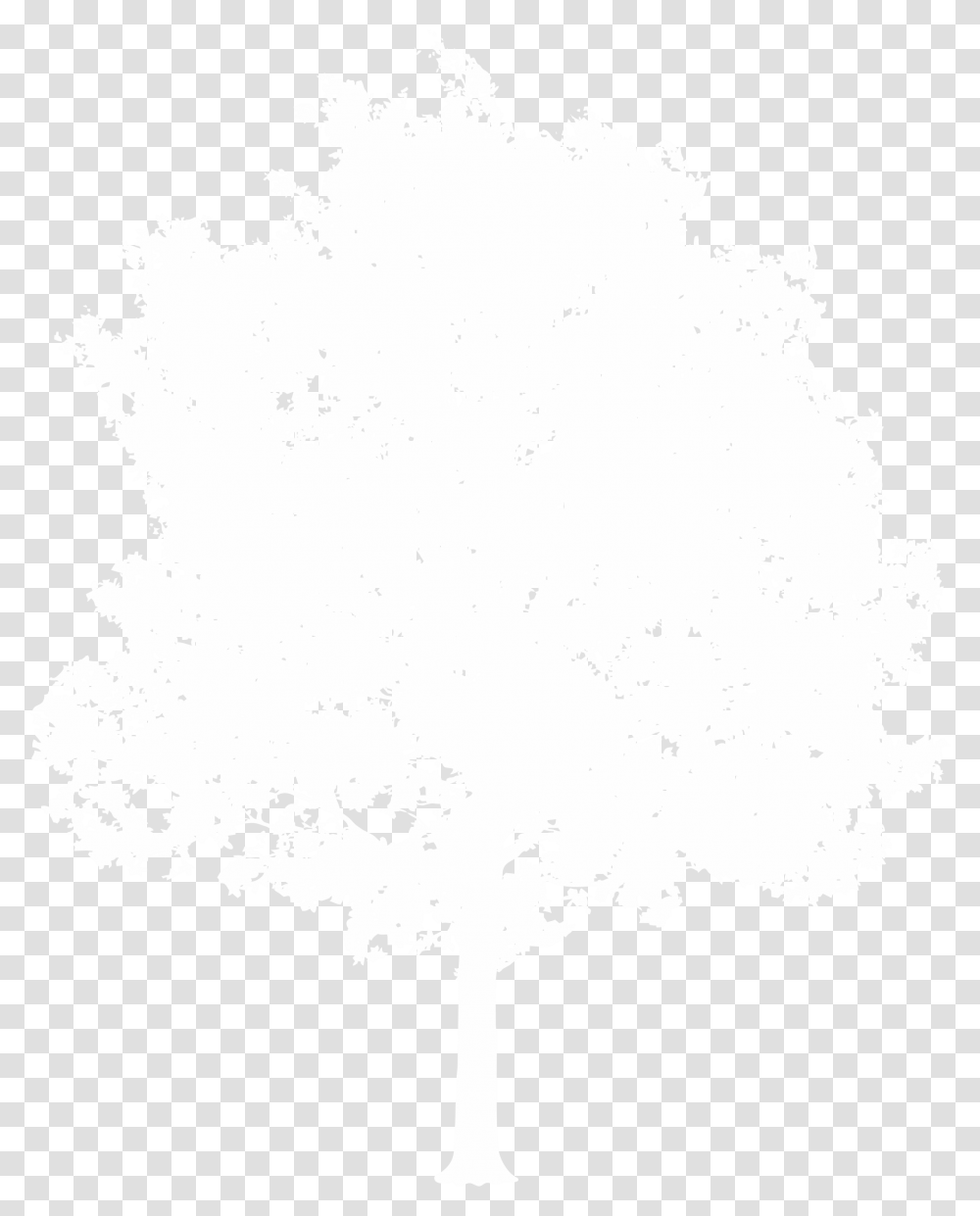 Download Hd White Tree Image Nicepngcom Illustration, Stencil, Art, Graphics, Snowflake Transparent Png