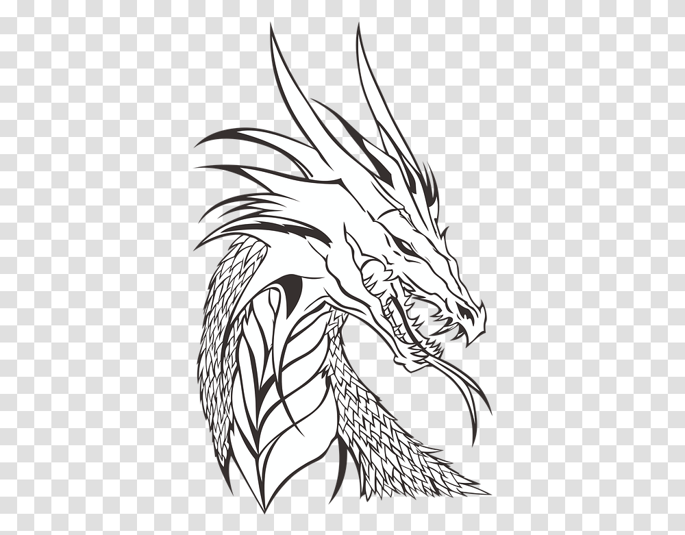 Download Hd Who Is Your Favorite Dragon Realistic Dragon Realistic Coloring Pages Dragon, Bird, Animal Transparent Png