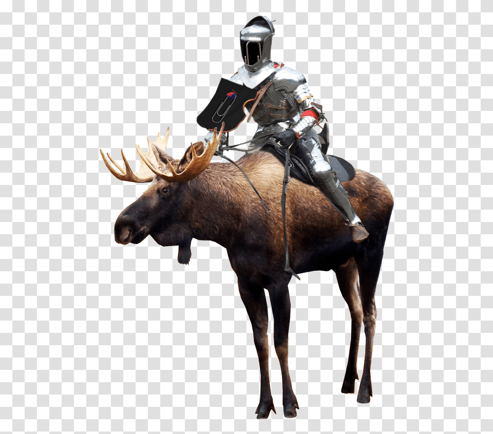 Download Hd Will Fuck Your Ass Moose, Helmet, Clothing, Apparel, Horse Transparent Png