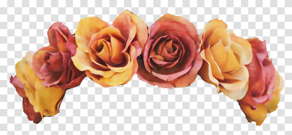 Download Hd Yellow Flower Crown Orange Flower Crown, Rose, Plant, Blossom, Petal Transparent Png
