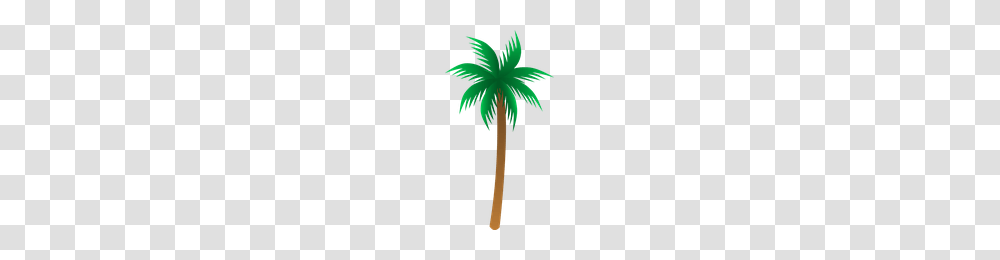 Download Heart Line Free Icon And Clipart Freepngclipart, Palm Tree, Plant, Arecaceae Transparent Png
