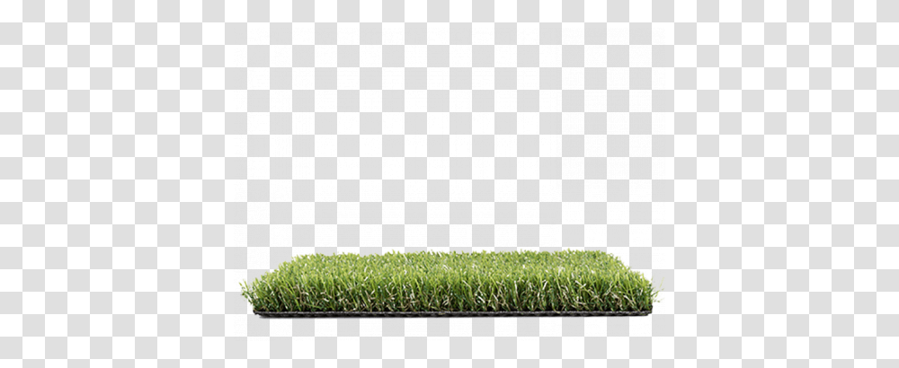 Download Hedge Image With No Lawn, Grass, Plant, Sport, Team Sport Transparent Png