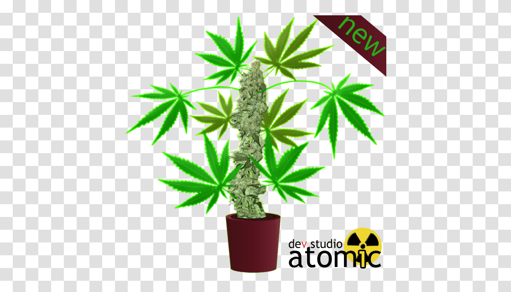 Download Hemp Clipart Cannabis Tree Plant Tree Graphics, Weed Transparent Png