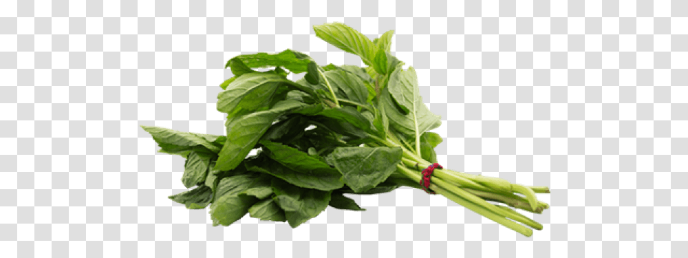 Download Herb Image With No Callaloo, Plant, Vegetable, Food, Spinach Transparent Png