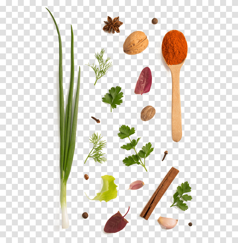 Download Herb Parsley Garlic Vegetable Spices, Plant, Spoon, Cutlery, Vase Transparent Png