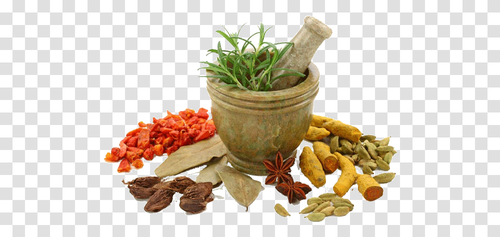 Download Herbs Image Herbs, Plant, Potted Plant, Vase, Jar Transparent Png