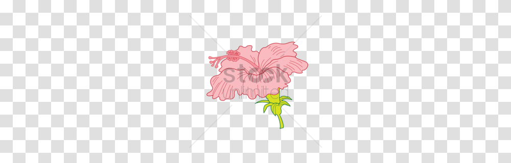 Download Hibiscus Clip Art Clipart Mallows Clip Art, Flower, Plant, Dynamite, Weapon Transparent Png