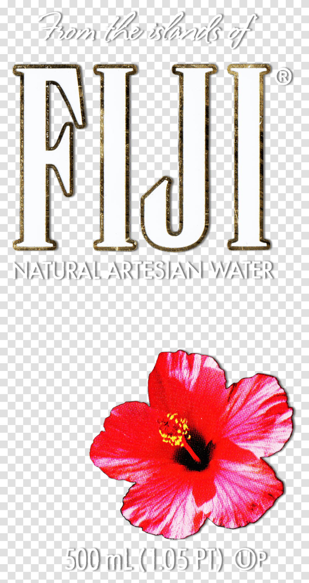 Download Hibiscus Flower Image Fiji Water Flower, Plant, Text, Blossom, Number Transparent Png