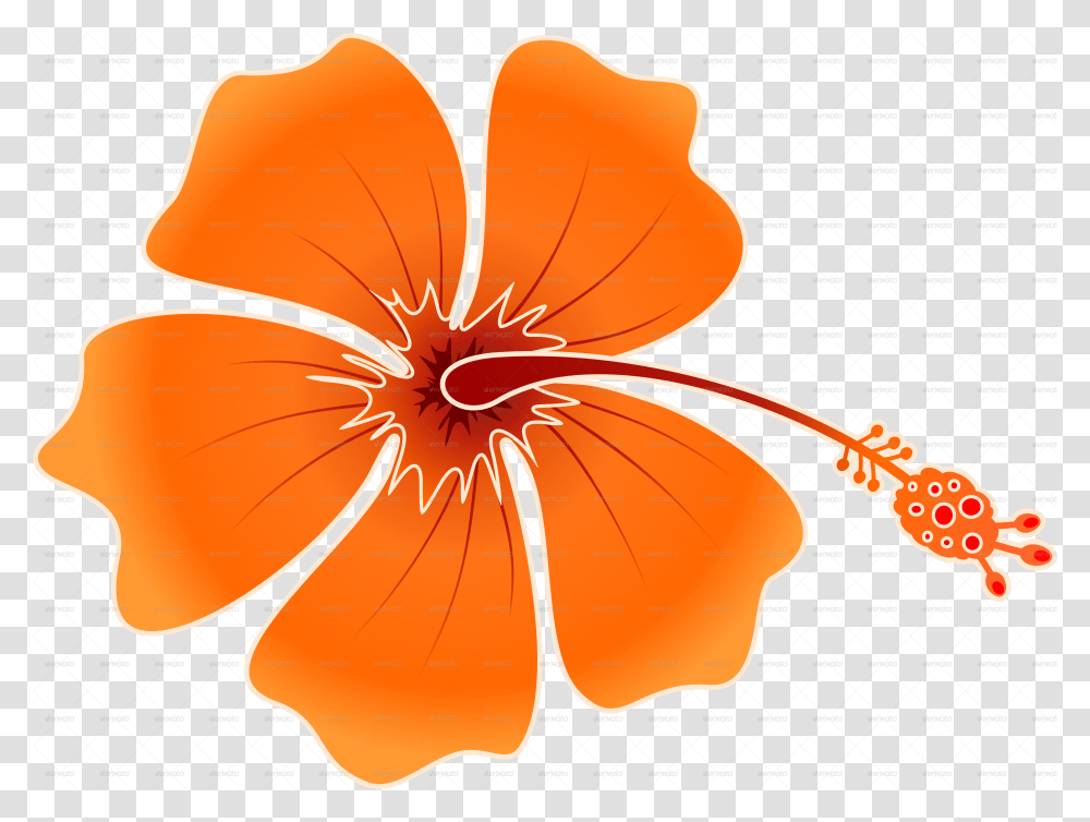 Download Hibiscus Flowers Patterns Hawaiian Flower Clip Art, Plant, Blossom, Petal, Geranium Transparent Png