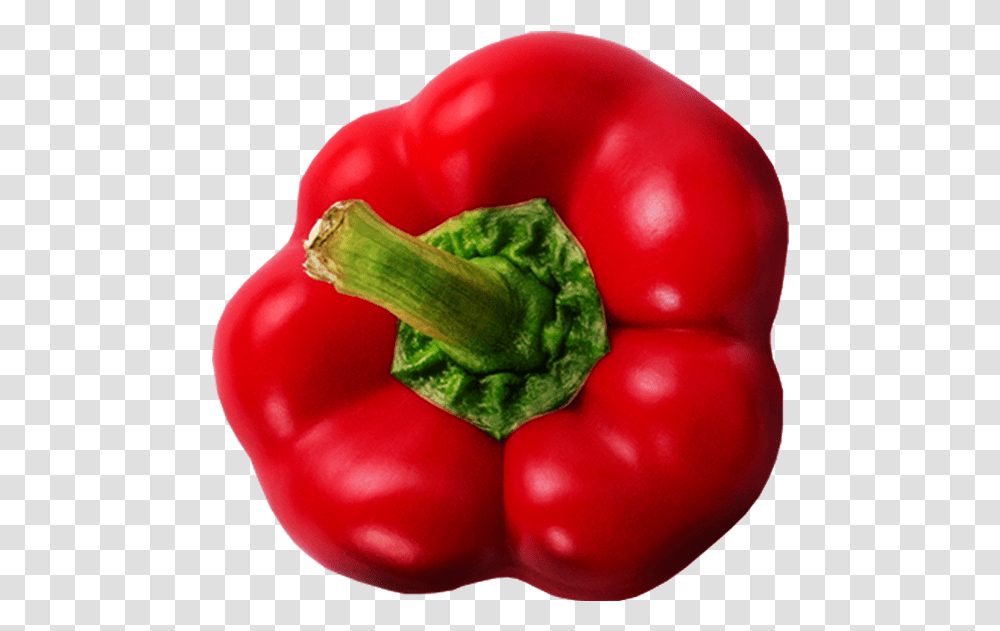 Download High Resolution Bell Pepper Top, Plant, Vegetable, Food, Toy Transparent Png