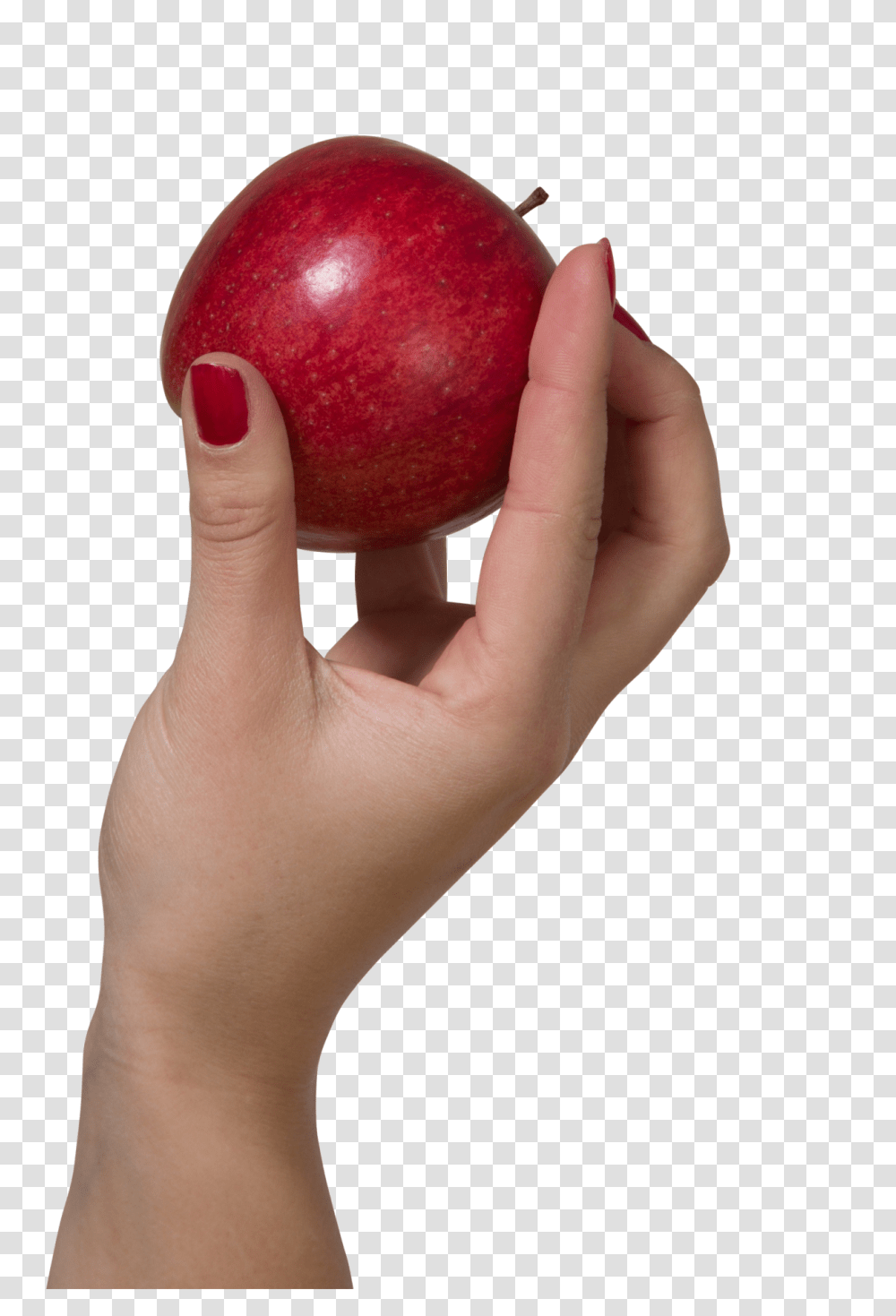 Download Holding An Apple Hand Hold An Apple Hd Apple In Hand, Plant, Person, Human, Fruit Transparent Png